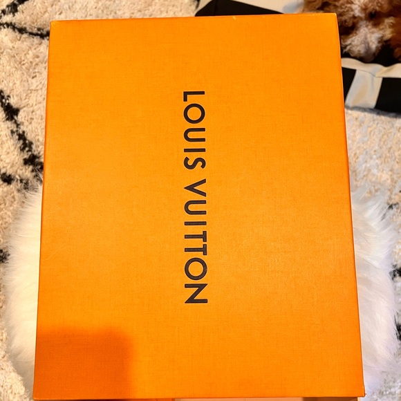 Louis Vuitton archlight sneakers - Picture 3 of 15